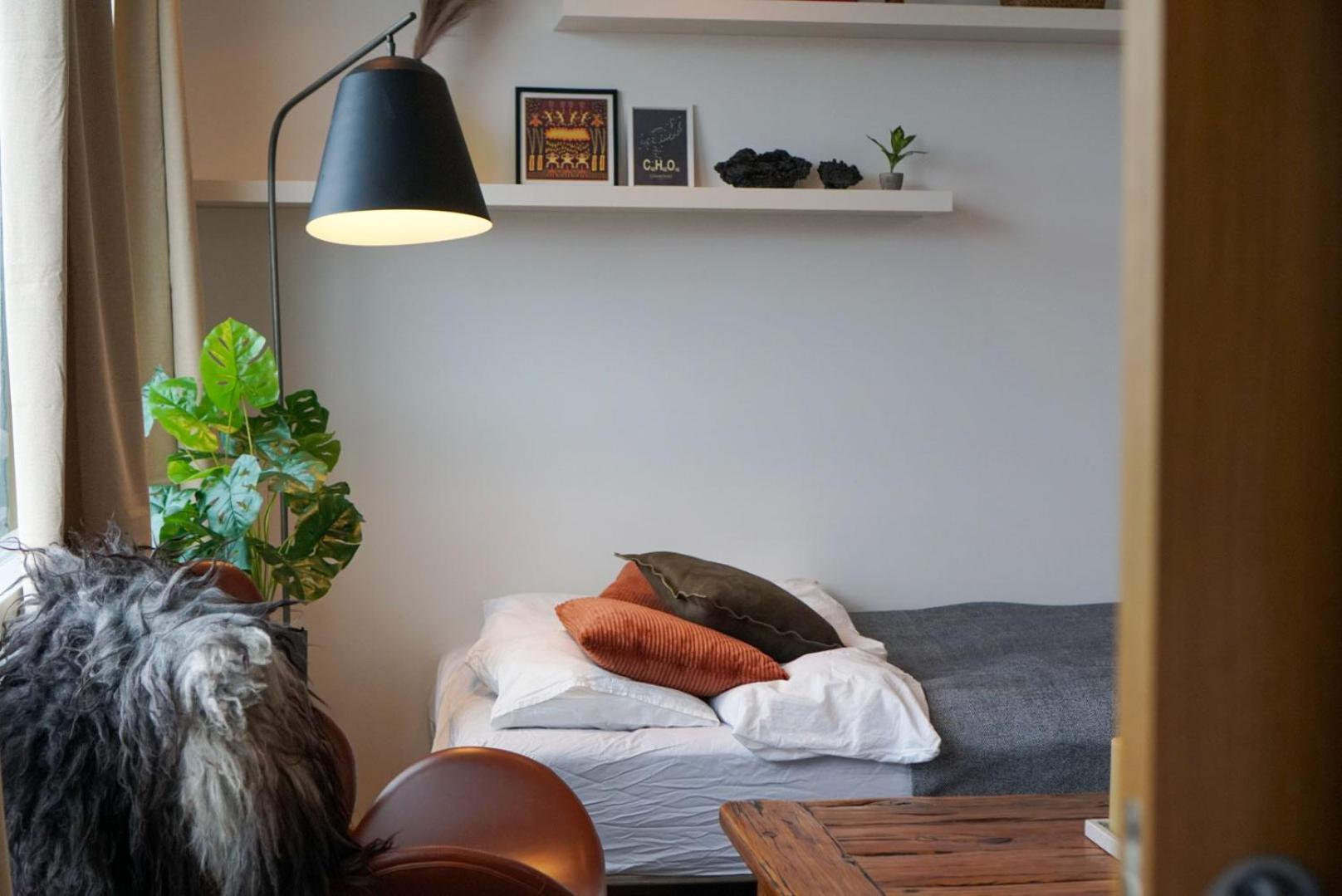 Laugavegur Penthouse Apartment เรคยาวิก ภายนอก รูปภาพ